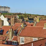 Sea Dog Cottage - Uk42479